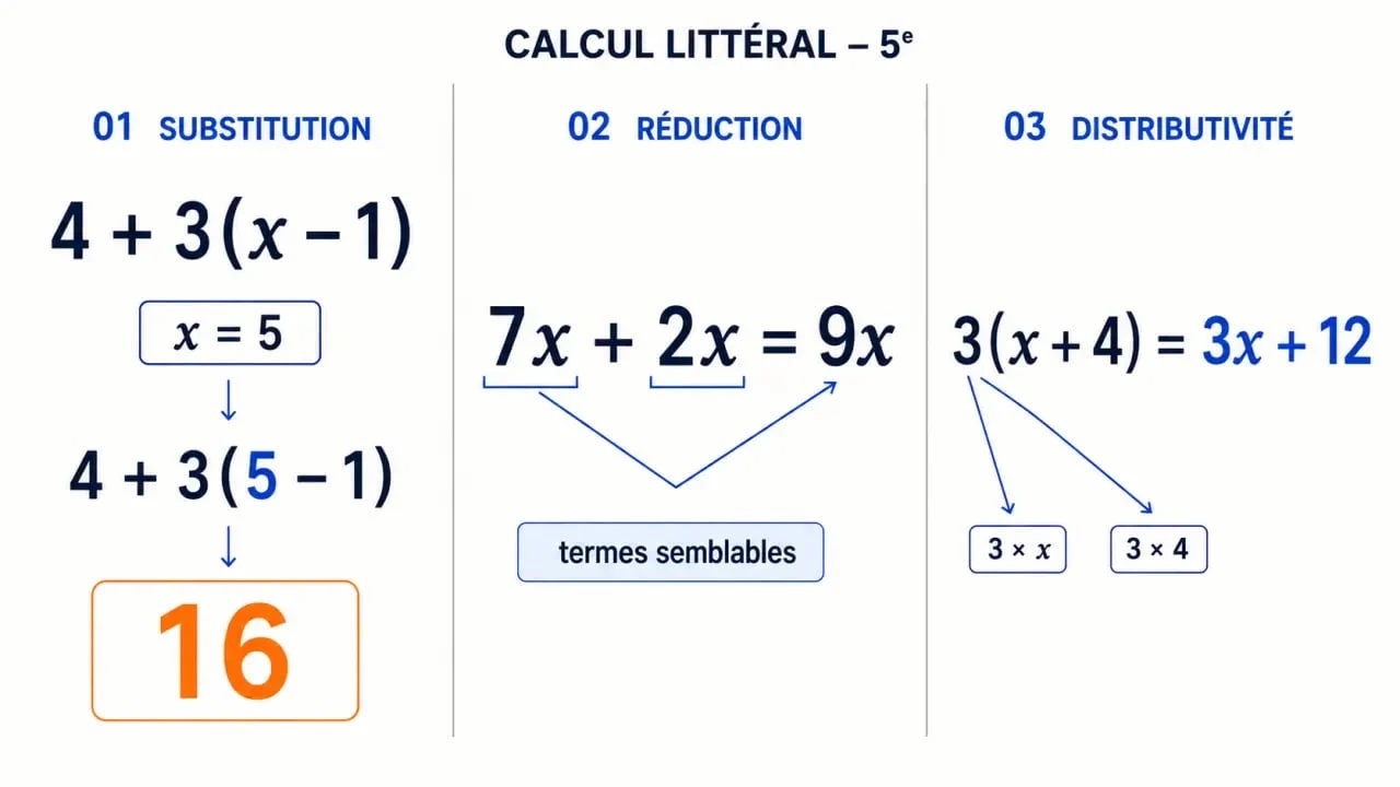 Infographie du calcul littéral en 5ème avec substitution, réduction et distributivité